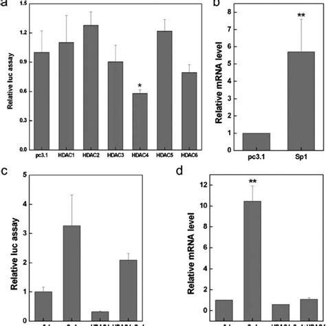 Sp1 Induced Mda 7 IL 24 Expression And HDAC4 Repressed Mda 7 IL 24