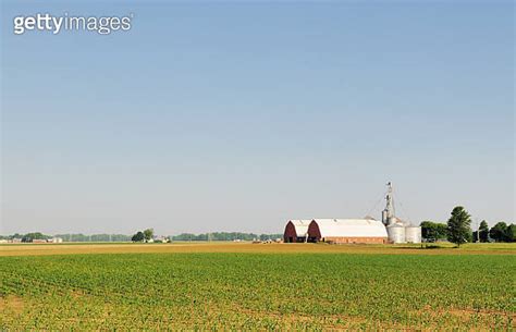 Indiana Agriculture Cornfield Rows Two Barns Midwest Farm In Spring