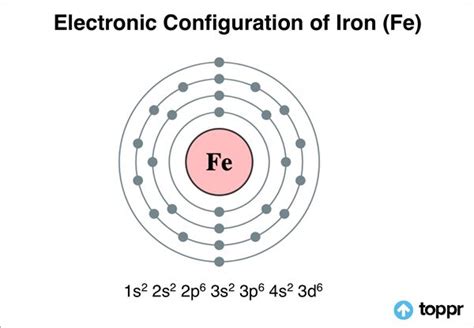 Iron Orbital Diagram