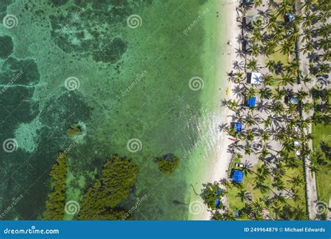 Top View Of A Coconut Tree Lined Beach At Pangangan Island Calape