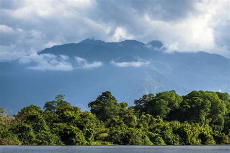 PICO BONITO CANOPY TOUR | Honduras Traveling