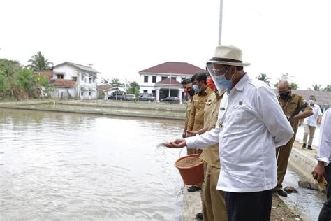 Potensi Kelautan Dan Perikanan Banten Peluang Investasi Yang Menjanjikan