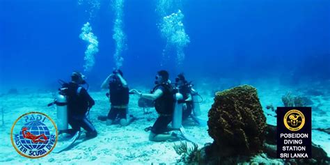 Padi Master Scuba Diver Course Poseidon Diving Centre Sri Lanka