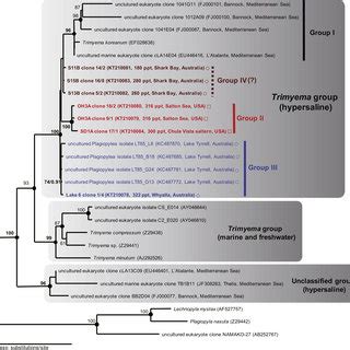 Maximum Likelihood Phylogenetic Tree Of 18S RNA Gene Sequences Showing