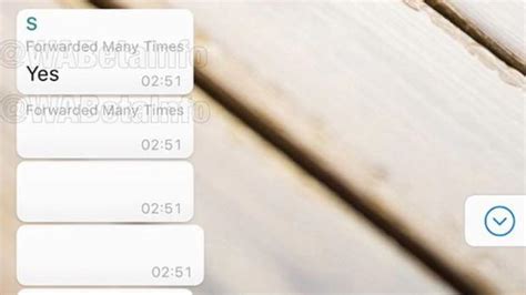 Whatsapp Planea La Siguiente Medida Contra Las Cadenas De Mensajes