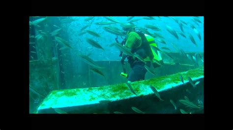 Scuba Diving The Uss Mohawk Goliath Groupers Loaded With Bait Ft