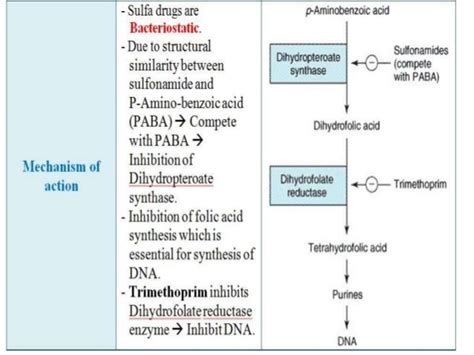 Pharmatube Antibiotics 7 Sulfa Drugs