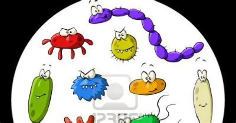 Parásitos Virus Y Bacterias ¿que Son