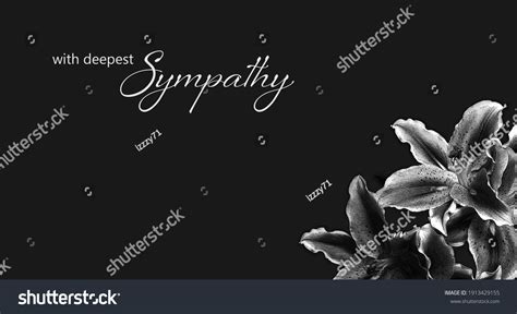 Sympathy Card Lily Flowers Stock Illustration 1913429155 Shutterstock