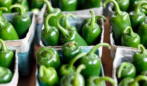types  jalapenos crate  basket