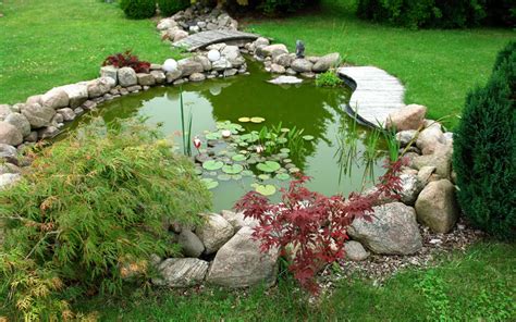 Installer Un Bassin Dans Son Jardin Nos Conseils