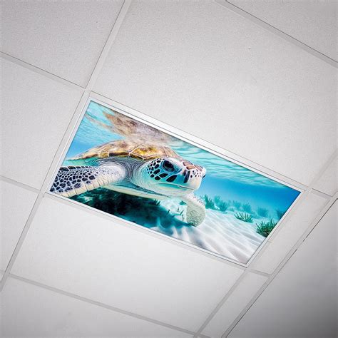 Fluorescent Light Cover for Classroom Ceiling Lights - Premium Backlit Film Insert 2x4 (22.38 ...