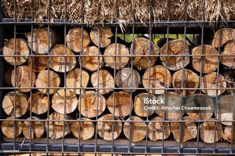 Firewood And Hay Were Arranged Neatly On The Fuel Storage Racks Stock