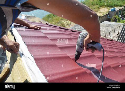 Roofing Contractors Installing Metal Roof Tile For Roof Repair Roofing