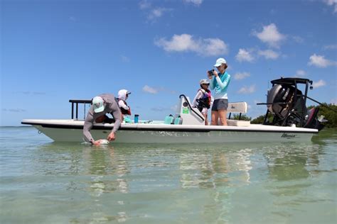 Cudjoe Key Fishing Reports