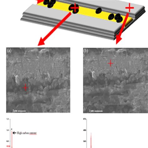 A Sem And Eds Analysis Results For Wear Surface Given Contact Load Of