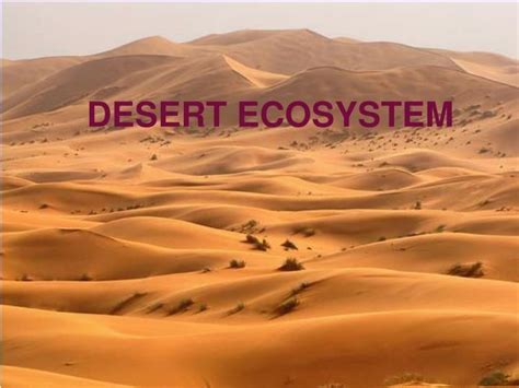 Ppt Desert Ecosystem Powerpoint Presentation Free Download Id2084519 Desert Ecosystem