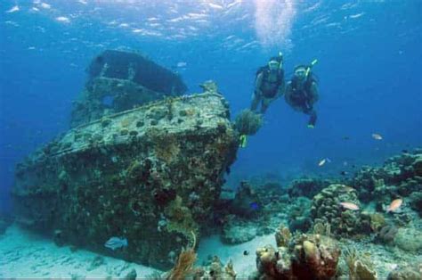 Aquáticos Ilhabela Ilhabela Guia de Viagem e Hospedagem