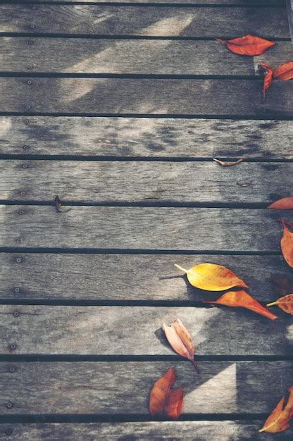 Premium Photo Close Up Of Autumn Leaves On Wood