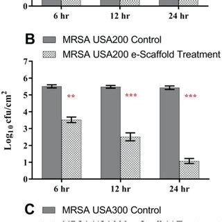 Live Dead Staining Of Mrsa Usa Biofilms After Escaffold Treatment