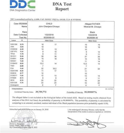 Printable Fake Paternity Test Results Template