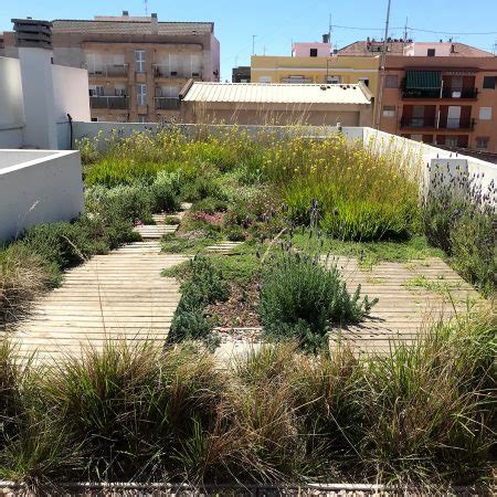 Jardin Vertical Y Techos Verdes Bonna Paisajismo