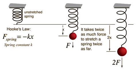 What Is Hookes Law Elliottancegibbs