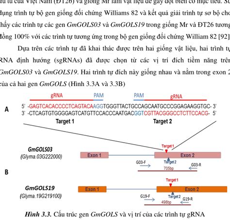 Nghiên cứu ứng dụng công nghệ CRISPR cas9 trong tạo đột biến gen