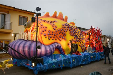 Un diumenge qualsevol Carnaval de Terra Endins de Torelló