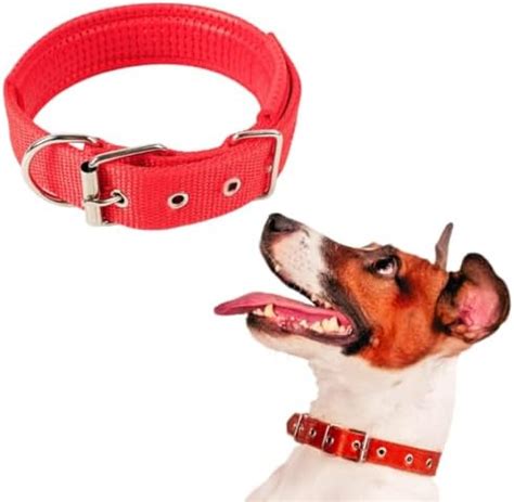 Outzmart Collar Para Perro Ajustable Duradero Elegante Suave Acolchado