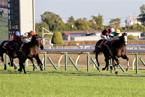 東京スポーツ杯2歳ステークス の写真ギャラリー 競馬ニュースなら競馬のおはなし