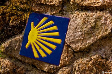 Los Símbolos Del Camino De Santiago De Compostela