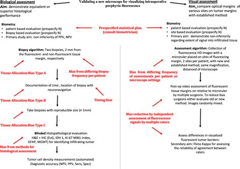 Hypothetical Examples Of Validation Algorithms Of A New Microscope For Download Scientific