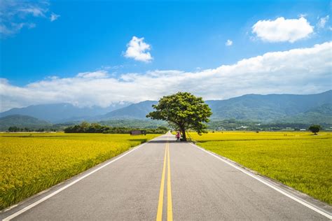 台東．鐵道旅遊台鐵兩人成行｜金崙溫泉．單車遊池上伯朗大道．加路蘭遊憩區．三仙台風景區三日｜高雄出發25te102trtc K 台東雄獅旅遊