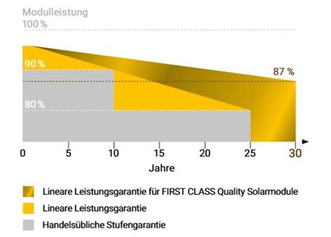 Solar Fabrik Mono S5 Halfcut 300 Glas Glas Mit Bifazialer