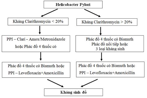 Phác đồ điều Trị Bệnh Viêm Loét Dạ Dày Do Vi Khuẩn Hp