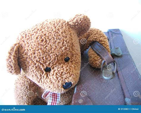 Going Away Stock Image Image Of World Teddy Travelling 313383