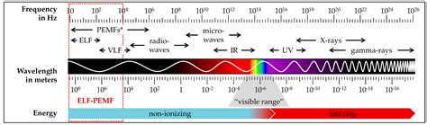 Jcm Free Full Text Translational Insights Into Extremely Low