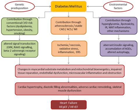 Applied Sciences Free Full Text Heart Failure And Diabetes Mellitus