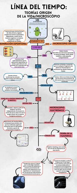 L Nea Del Tiempo Teorias Origen De La Vida Microscopio Rafi Udocz