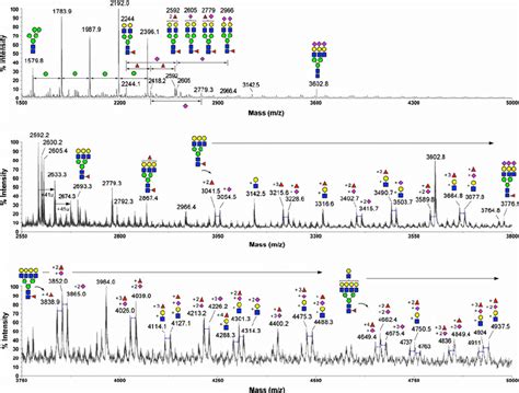 Maldi Ms Profile Of The Permethylated N Glycans From Rmg Cells In