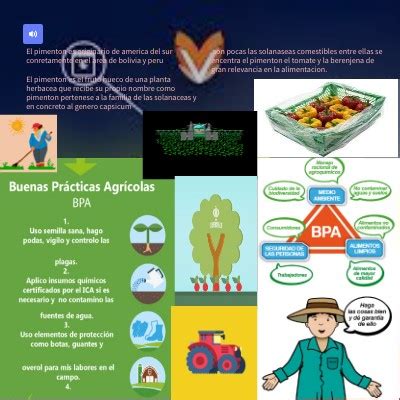 Tarea 2 Las Buenas Prácticas Agrícolas en el cultivo