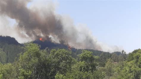 Onemi Informa De Incendios Forestales Activos Controlados Y