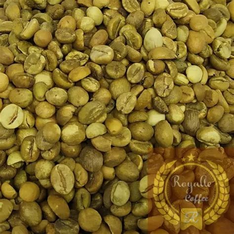 Robusta Bajawa Green Bean Robusta Royalle Coffe