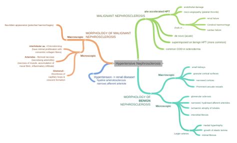 Hypertensive Nephrosclerosis Malignant Nephrosclerosis Aw Accelerated