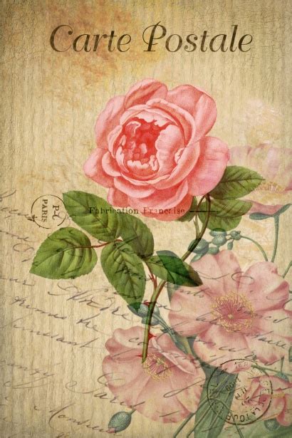 Vintage Art Postcard Flowers Free Stock Photo Public Domain Pictures