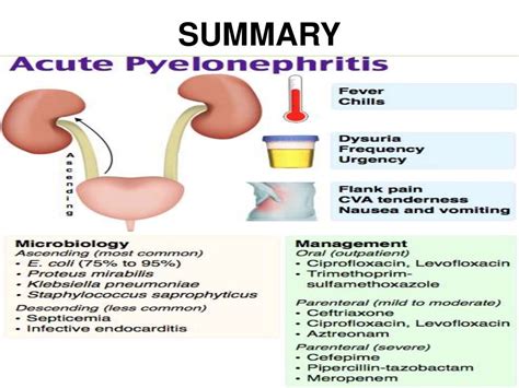 Pyelonephritis Causes Symptoms And Treatment