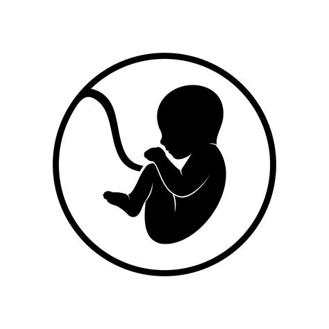 Fetus Vector Icon Vector Art At Vecteezy