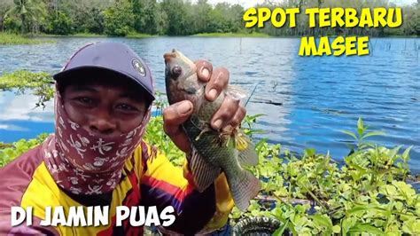 SPOT TERBARU LAGI DI JAMIN BIK8N KETAGIHAN YouTube