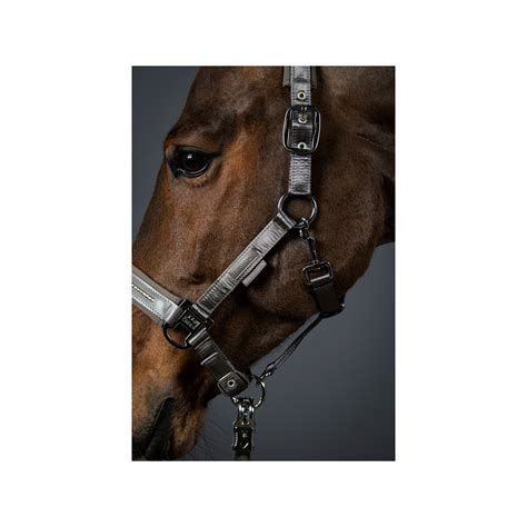 Eskadron Doublepin Satin Crystal Headcollar Equishop Equestrian Shop